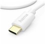 Câble USB Hama 00201590 Blanc