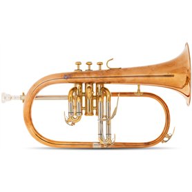 Lechgold FH-60GR bugle non traité