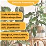 Supershield® - Grow & Bloom - Engrais pour plantes - Pour une croissance plus forte et plus saine de vos plantes - Meilleure cro