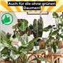 Supershield® - Grow & Bloom - Engrais pour plantes - Pour une croissance plus forte et plus saine de vos plantes - Meilleure cro