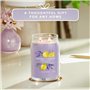 Bougie Parfumée Yankee Candle 1629970E Violet