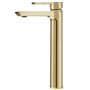 Rea ROBINET DE LAVABO ARGUS GOLD HIGH Mitigeur Salle de Bain en Laiton Monocommande Chaude et Froide Réglable Robinet de Lavage 