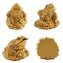 WYMAODAN Pièce de Monnaie Grenouille Porte-Bonheur, pièce de Monnaie Crapaud Feng Shui Porte-Bonheur Chinois pour Cadeau de déco