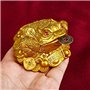 WYMAODAN Pièce de Monnaie Grenouille Porte-Bonheur, pièce de Monnaie Crapaud Feng Shui Porte-Bonheur Chinois pour Cadeau de déco
