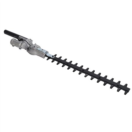 Tête de Taille-haie