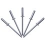 Lot de 100 rivets aveugles 3