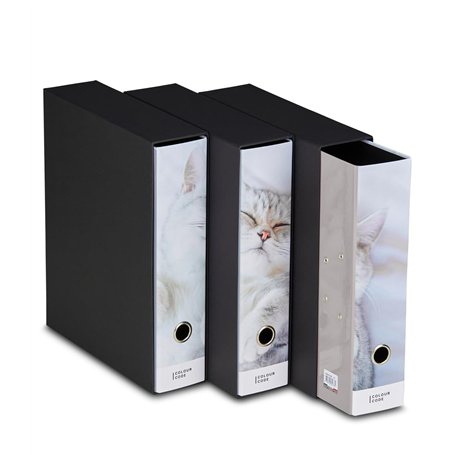 Lot de 3 classeurs à anneaux