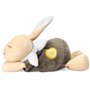 Peluche chauffante Lapin - CHICCO - Beige - Des la naissance