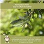 CLOSTER - Engrais Liquide pour Oliviers 1 Litre avec Azote, Cuivre, Phosphore et Potassium - Chélates de Fer pour Plantes Vertes