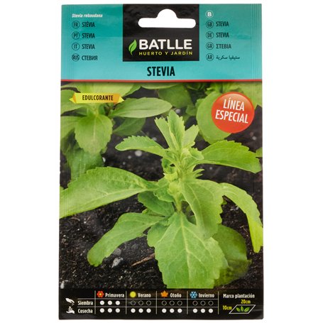 Semillas aromáticas de Battle - Stevia (Seeds - 50cm)