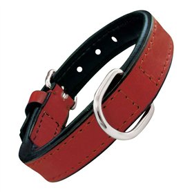 Collier pour Chien Gloria Rembourré Rouge 55 cm (55 x 2