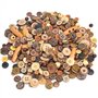 Youery Lot de 600 pcs Boutons en Bois de Noix de Coco DIY Shell-Lines Boutons 2/4 Trous Boutons pour Couture et travaux manuels