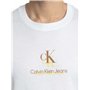 Calvin Klein T-Shirt Manches Courtes Homme Shadow Logo Tee Regular Fit, Blanc (Bright White), L