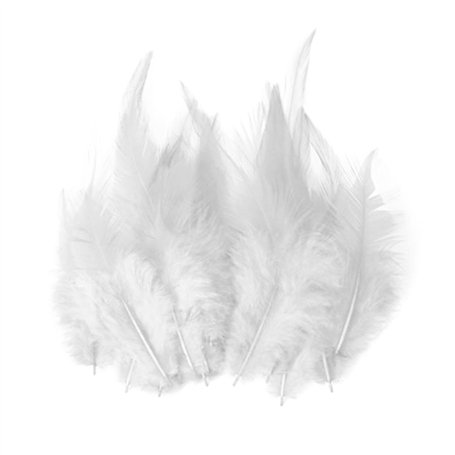 OAOSDH 200 Plumes Blanches