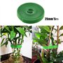 Lot de 2 liens Velcro pour plantes - 5 m - Fixation pour arbre - 25 mm - Fermeture Velcro réglable - Pour fixer les plantes et l