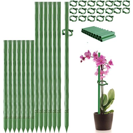 Tuteurs pour Plantes