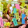 DNDGDLUA Lot de 500 étiquettes de jardin colorées en plastique pour plantes - Résistantes aux intempéries - Pour jardin d'enfant