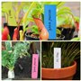 DNDGDLUA Lot de 500 étiquettes de jardin colorées en plastique pour plantes - Résistantes aux intempéries - Pour jardin d'enfant
