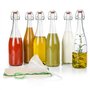 myFERMENTS Bouteilles en Verre avec Bouchons - Kit de Fermentation 6 Bouteilles 750ml à Bouchon Mécanique