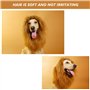 DEEDPF Perruque de crinière de lion pour costume de chien avec oreilles réglable pour cosplay, vacances, séance photo, fête, cha