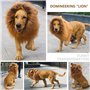 DEEDPF Perruque de crinière de lion pour costume de chien avec oreilles réglable pour cosplay, vacances, séance photo, fête, cha
