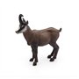 Papo - 53017 - Figurine - Animaux - Chamois