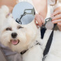 pangutheos 2 Pièces Ceinture Chien Voiture, Réglable Laisse Voiture pour Chien pour Tout Type de Voiture pour Tous Les Chiens et