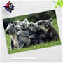 Sous-main pour enfants et adultes - Famille Koala - Accessoire Bureau