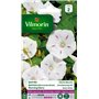Vilmorin - Ipomée Blanche étoilée - semences pour Plantation - Fleurs grimpantes annuelles 4m - variété vigoureuse - Floraison a