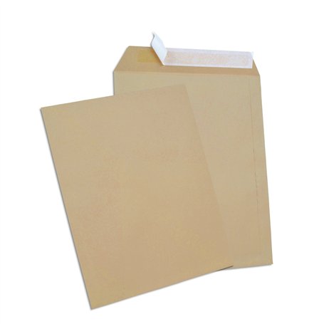 GPV - Boite de 250 Pochettes - Format 24 (260x330 mm)