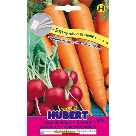 Ruban Présemé Duo de Graines de Radis Celesta F1 et Carotte Flakkee Jupiter F1