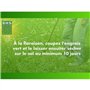 Trefle Blanc - BHS - 500 m²| Favorise la biodiversité, s'adapte a tous types de sols et résiste au piétinement.