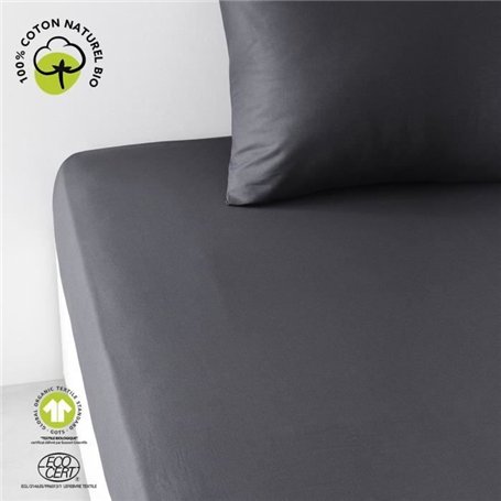 Drap housse - TODAY - 160 x 200 cm + 30 cm - Coton - Organic Fusain