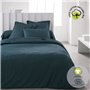 Drap housse - TODAY - 180 x 200 cm + 30 cm - Coton - Organic Paon