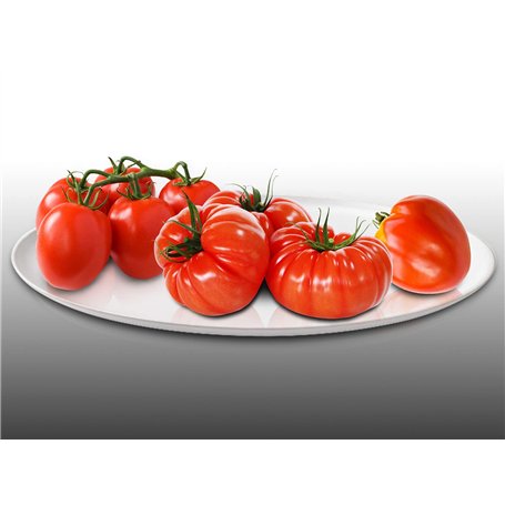 Lot de 150 graines à semer - Le Grenier d'Abondance - Trio de Tomates Classiques - 3 sachets individuels