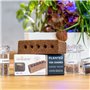 Pack de 2 Lingots Sans Graines - Compatible Potager d'Intérieur Véritable® et Exky® - Recharge Prête à l'Emploi pour vos Expérim