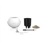 Jardiniere - BOLA color 32 - Kit complet - Blanc - 3 L - LECHUZA