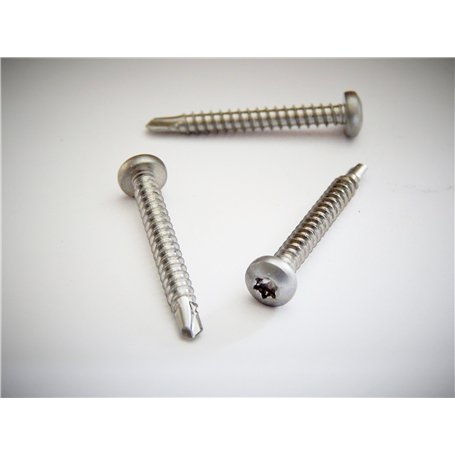 Lot de 100 vis autoperceuses 4.2 x 38 mm en acier inoxydable A2 avec tête mal autoperceur DIN 7504 M TX 20