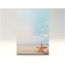 Paper-Media Lot de 100 feuilles de papier à motif étoile de mer Format A4 90 g/m²