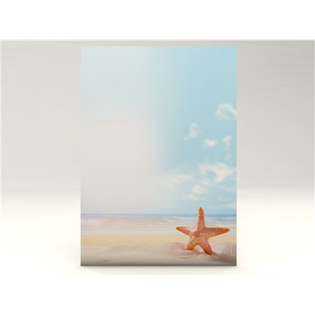 Paper-Media Lot de 100 feuilles de papier à motif étoile de mer Format A4 90 g/m²
