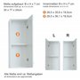 trendteam smart living 1116-501-01 Skin Placard Murale de Salle de Bain Blanc Ultrabrillant LxHxP 30x77x23 cm