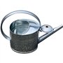 Arrosoir en zinc galvanisé Argenté 10 l
