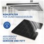 Lot de 2 filtres à charbon actif pour hotte aspirante Gorenje 180177 322147 300 x 280 mm Filtre de rechange/filtre anti-odeurs p