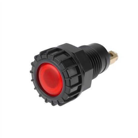 ECSiNG Témoin Lumineux de Charge 12 V pour Tableau de Bord Trou de Montage 17 Mm 20179 Compatible avec Massey Ferguson TE20 Les