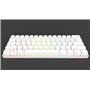 HKKB GK61 Mechanical Gaming Keyboard 60 Percent | 61 RGB Rainbow LED Backlit Programmable Keys | USB Wired | for Mac and Windows