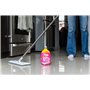Stardrops The Pink Stuff The Miracle Direct to Floor Cleaner Squirt & Mop 750 ml – Formule à séchage rapide | Pas besoin d'eau |
