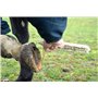 Easy Peasy Mate Kit de toilettage pour chevaux, cure-pieds et brosse à poils équestres – Brosse à cheval en fil d'acier rigide, 
