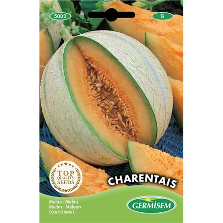 Germisem graines Melon CHARENTAIS