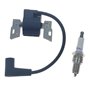 Cancanle 593872 799582 798534 Bobine d'allumage avec Bougie d'allumage pour Briggs & Stratton 08P502 09P602 09P702 Anker Magneto