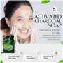 Savon au charbon actif. Double action Illuminant, Exfoliant, Lissant, Apaisant. Nettoyage des pores en profondeur. Avec 2% d'aci